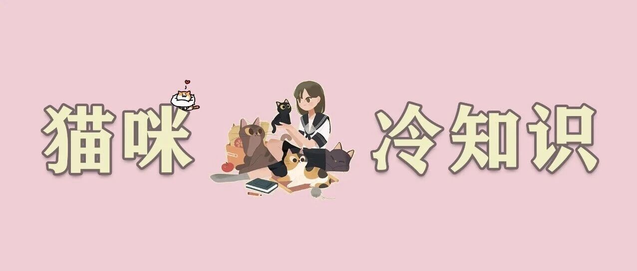 猫咪的六个冷知识——知道3个以上的都是资深铲屎官！